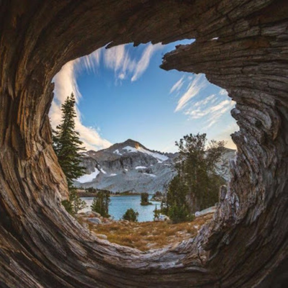 Meet your Posher, Abdiel - Picture 1 of 1